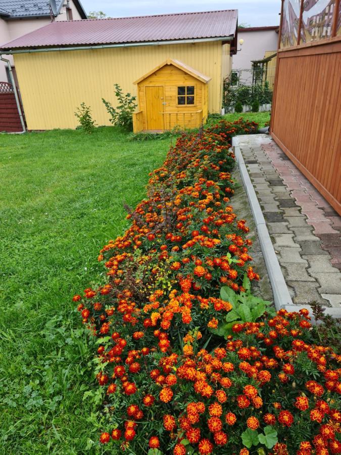 Rodzinny Apartament Na Kaszubach Brusy Extérieur photo